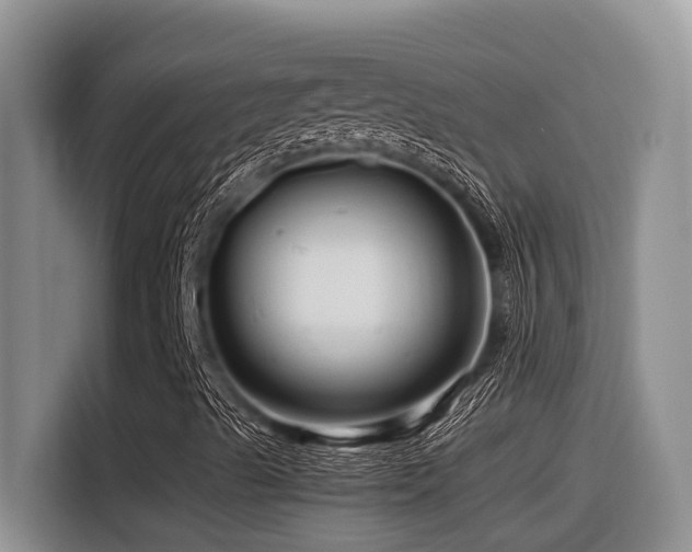 X0000116371489200912021143
