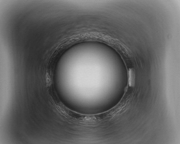 X0000116371491200912021143