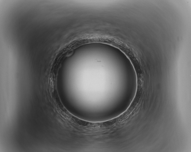 X0000116371493200912021143
