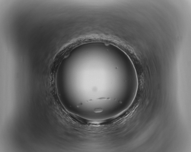 X0000116371494200912021143
