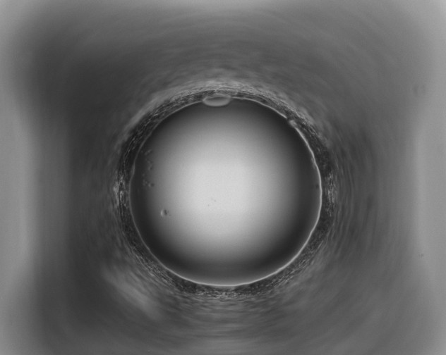 X0000116371495200912021143