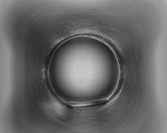 X0000116371497200912021143