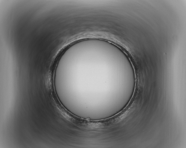 X0000116371498200912021143