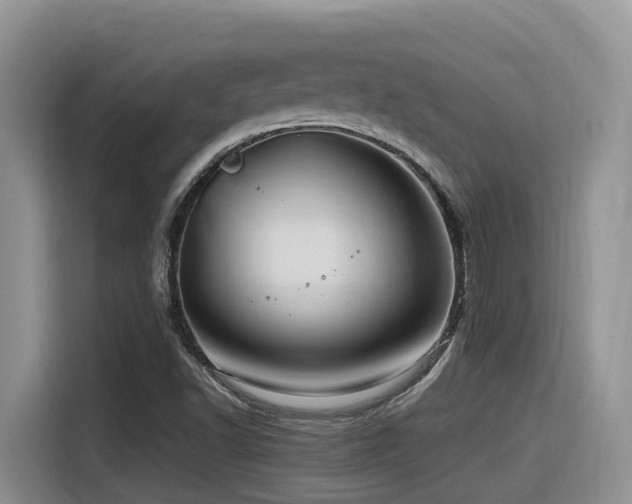 X0000116371502200912021143