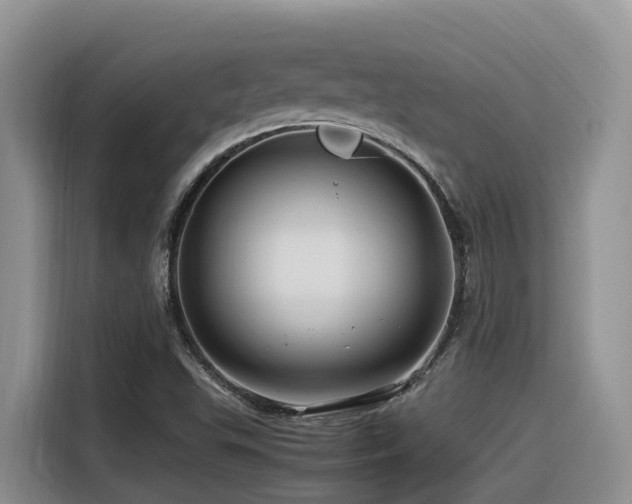 X0000116371503200912021143