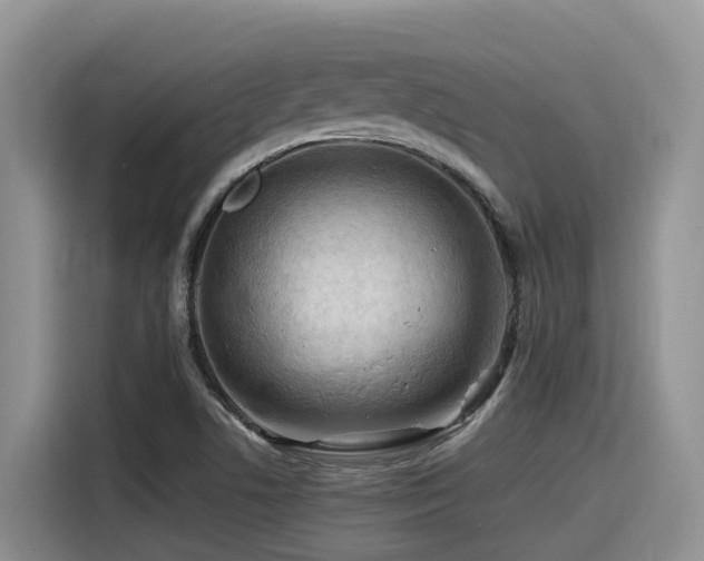 X0000116371506200912021143