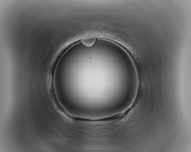 X0000116371507200912021143