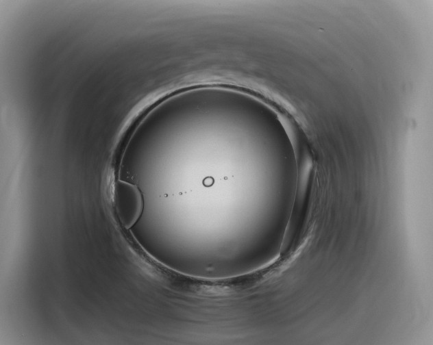 X0000116371509200912021143