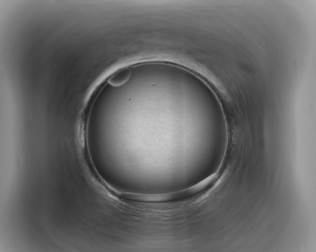 X0000116371510200912021143