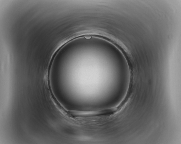 X0000116371513200912021143