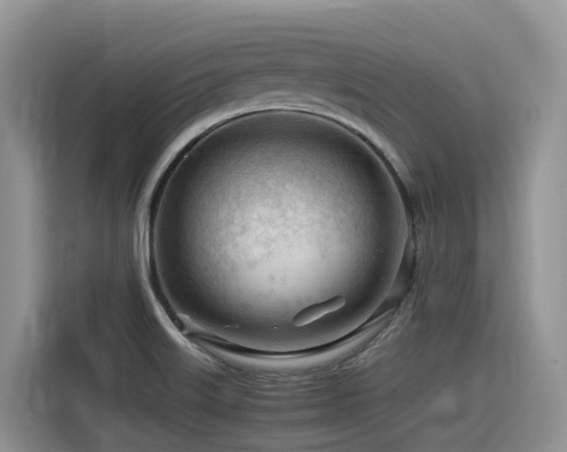 X0000116371515200912021143