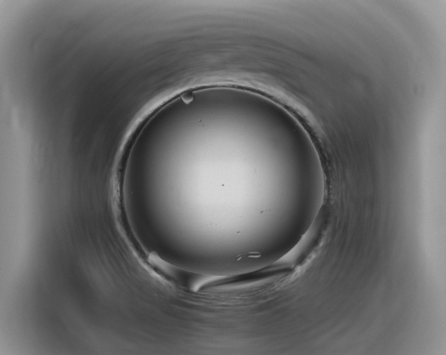 X0000116371517200912021143