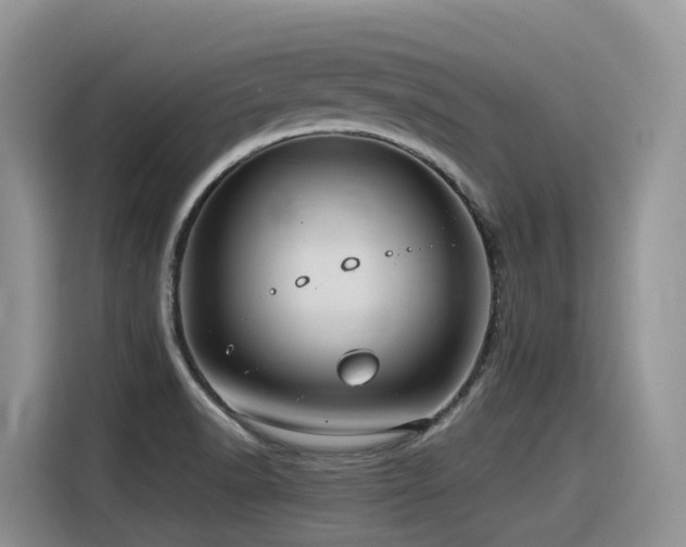 X0000116371518200912021143
