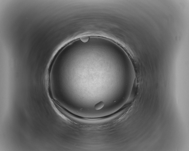 X0000116371519200912021143