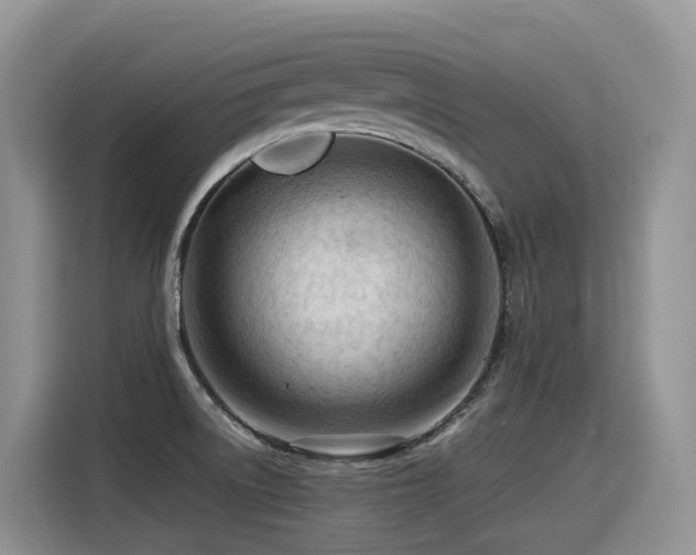 X0000116371522200912021143