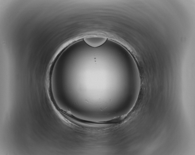 X0000116371523200912021143