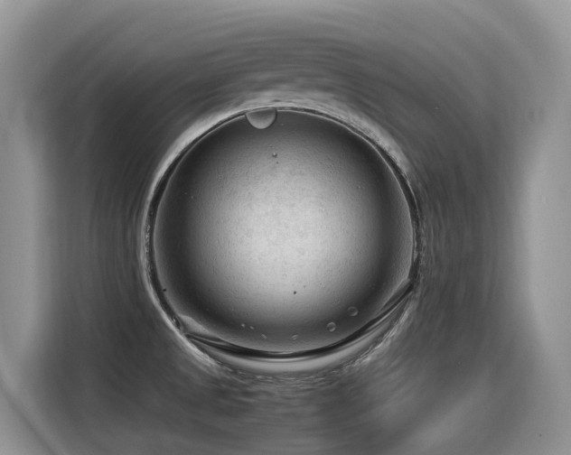 X0000116371525200912021143