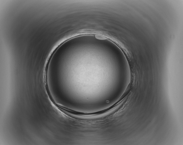 X0000116371527200912021143