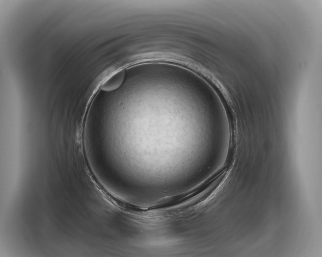 X0000116371529200912021143