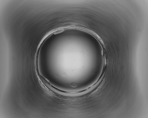 X0000116371530200912021143