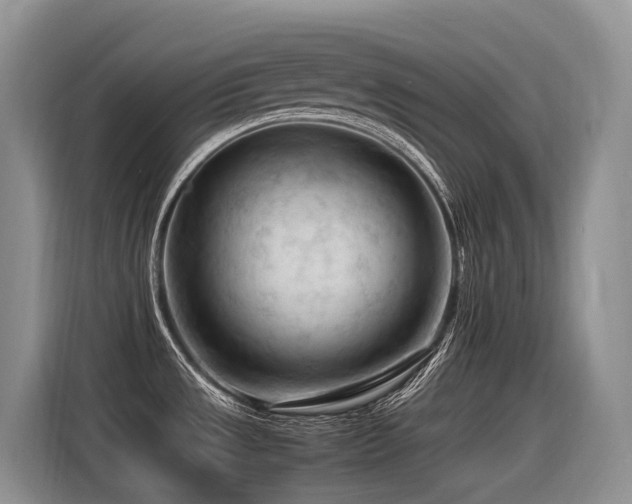 X0000116371533200912021143