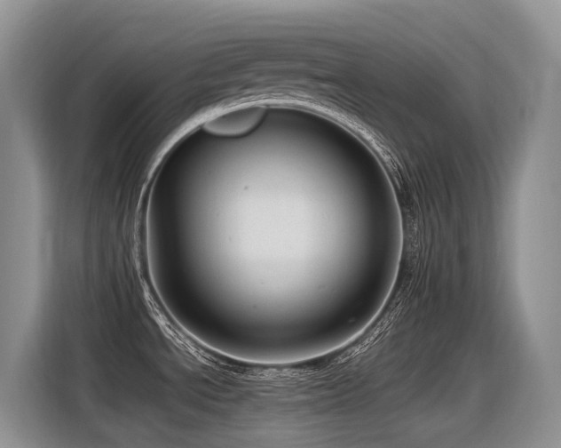 X0000116371534200912021143