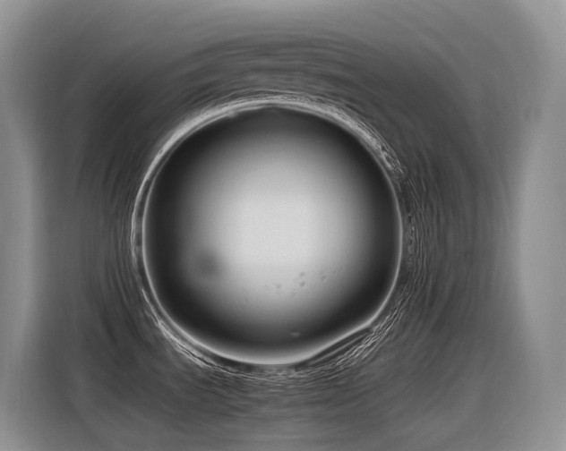 X0000116371535200912021143