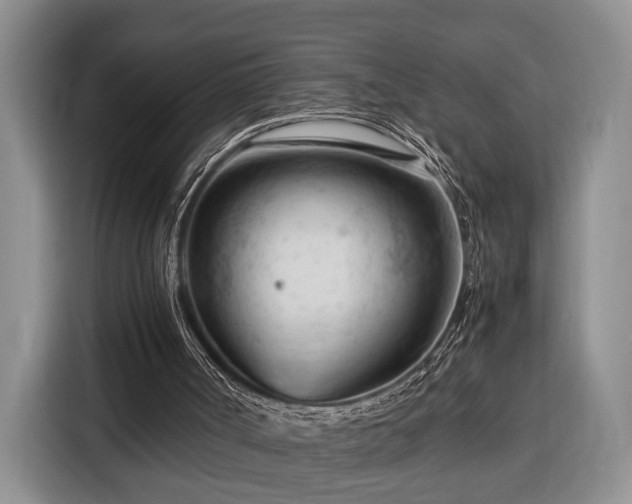 X0000116370002200912091247