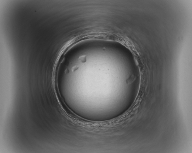 X0000116370003200912091247