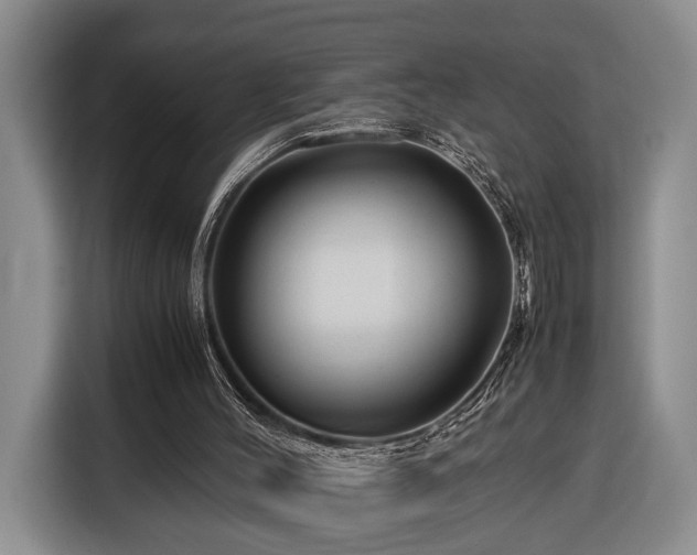 X0000116370004200912091247