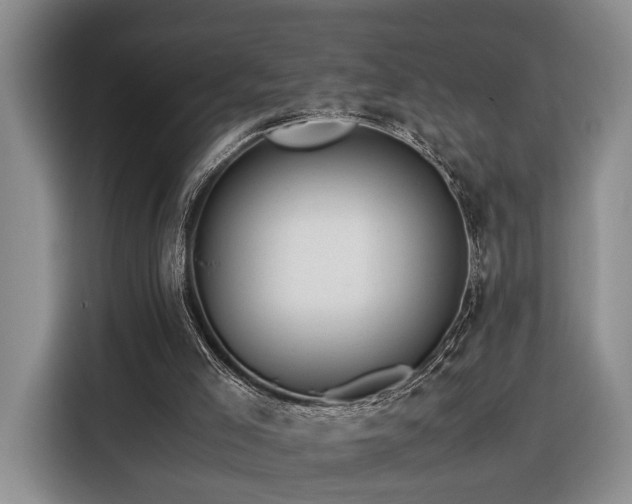 X0000116370005200912091247