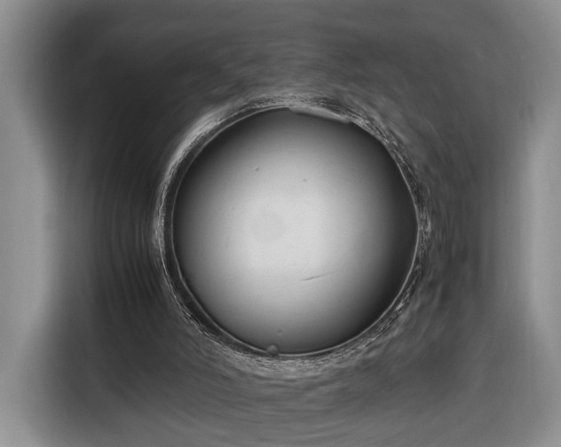 X0000116370006200912091247