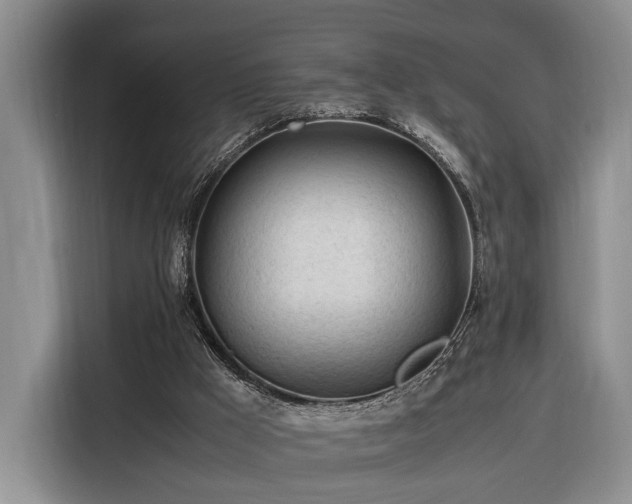 X0000116370009200912091247