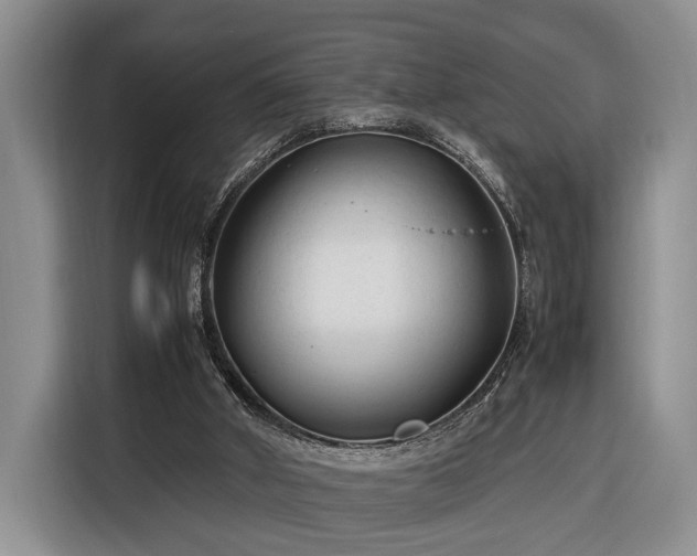 X0000116370010200912091247