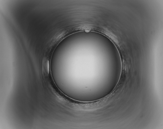 X0000116370013200912091247