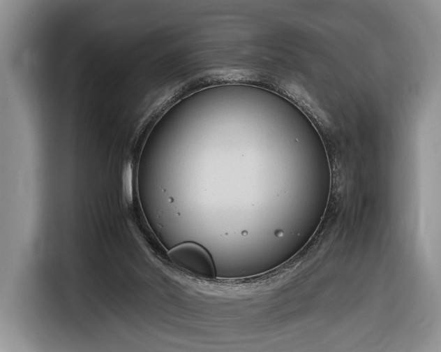 X0000116370014200912091247