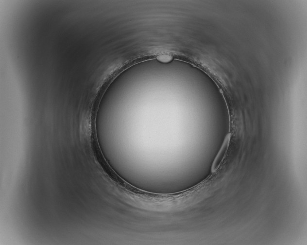 X0000116370015200912091247