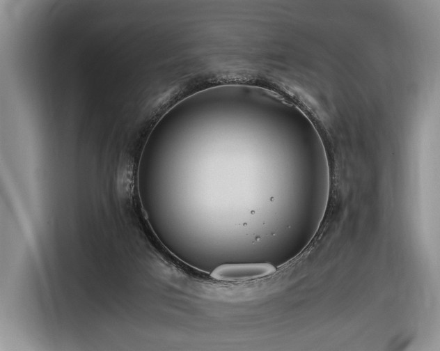 X0000116370017200912091247