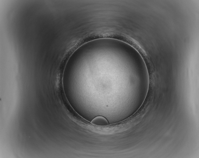 X0000116370018200912091247