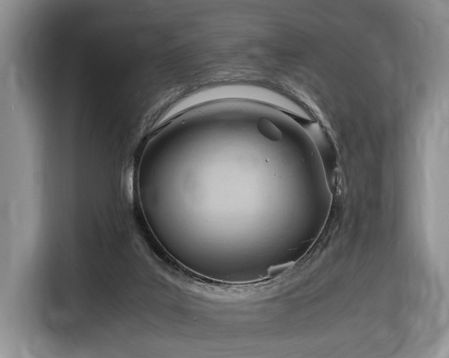 X0000116370019200912091247