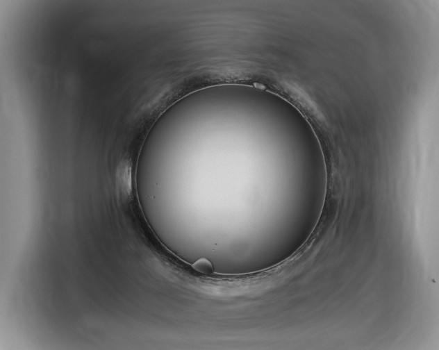 X0000116370021200912091247