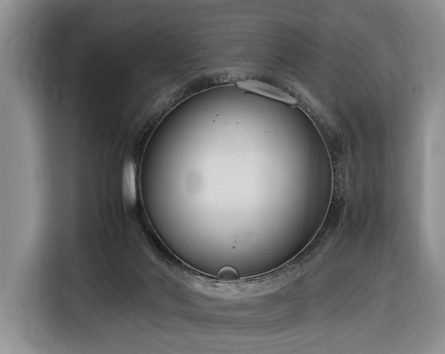 X0000116370022200912091247