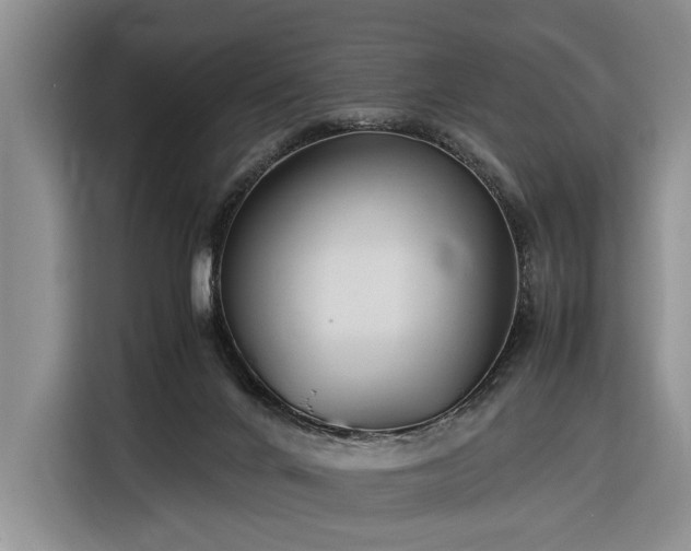 X0000116370024200912091247