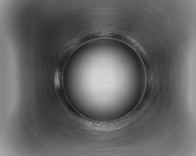 X0000116370026200912091247