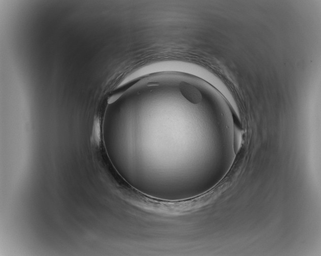 X0000116370027200912091247