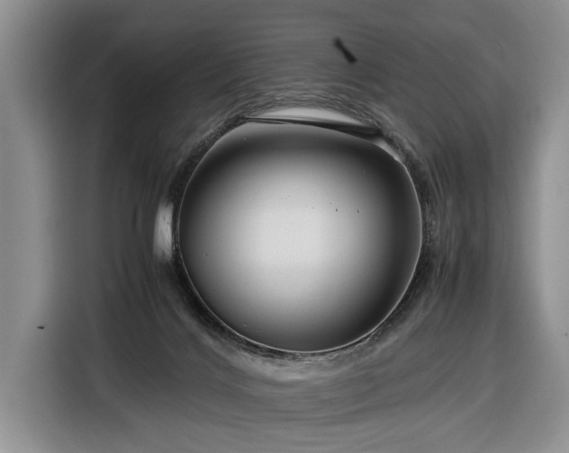 X0000116370028200912091247