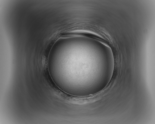 X0000116370029200912091247