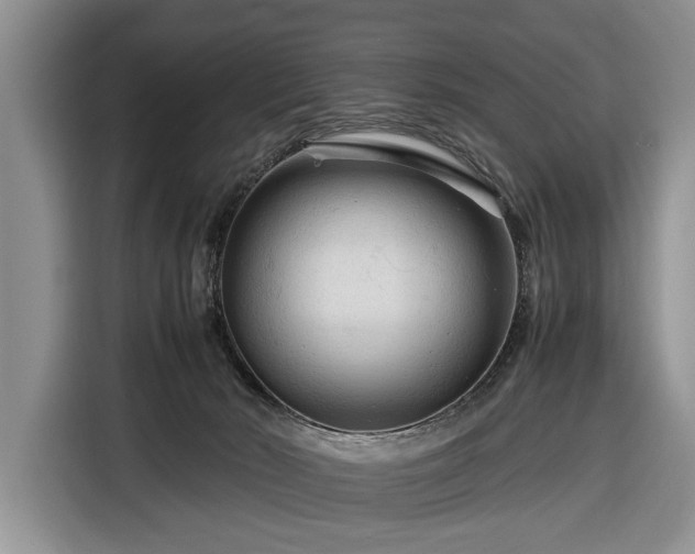 X0000116370030200912091247