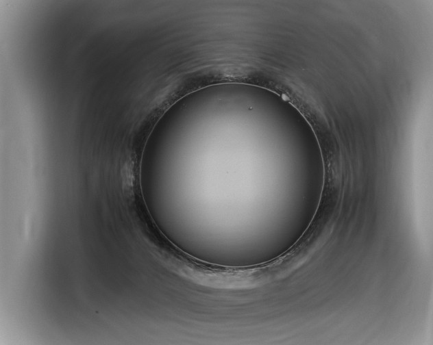 X0000116370032200912091247