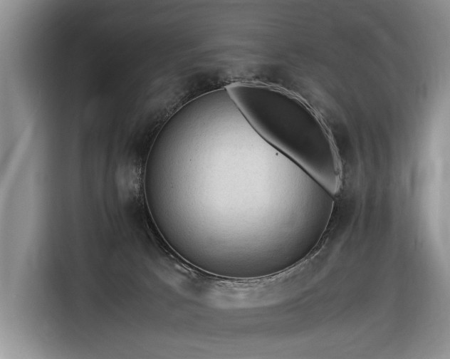 X0000116370033200912091247